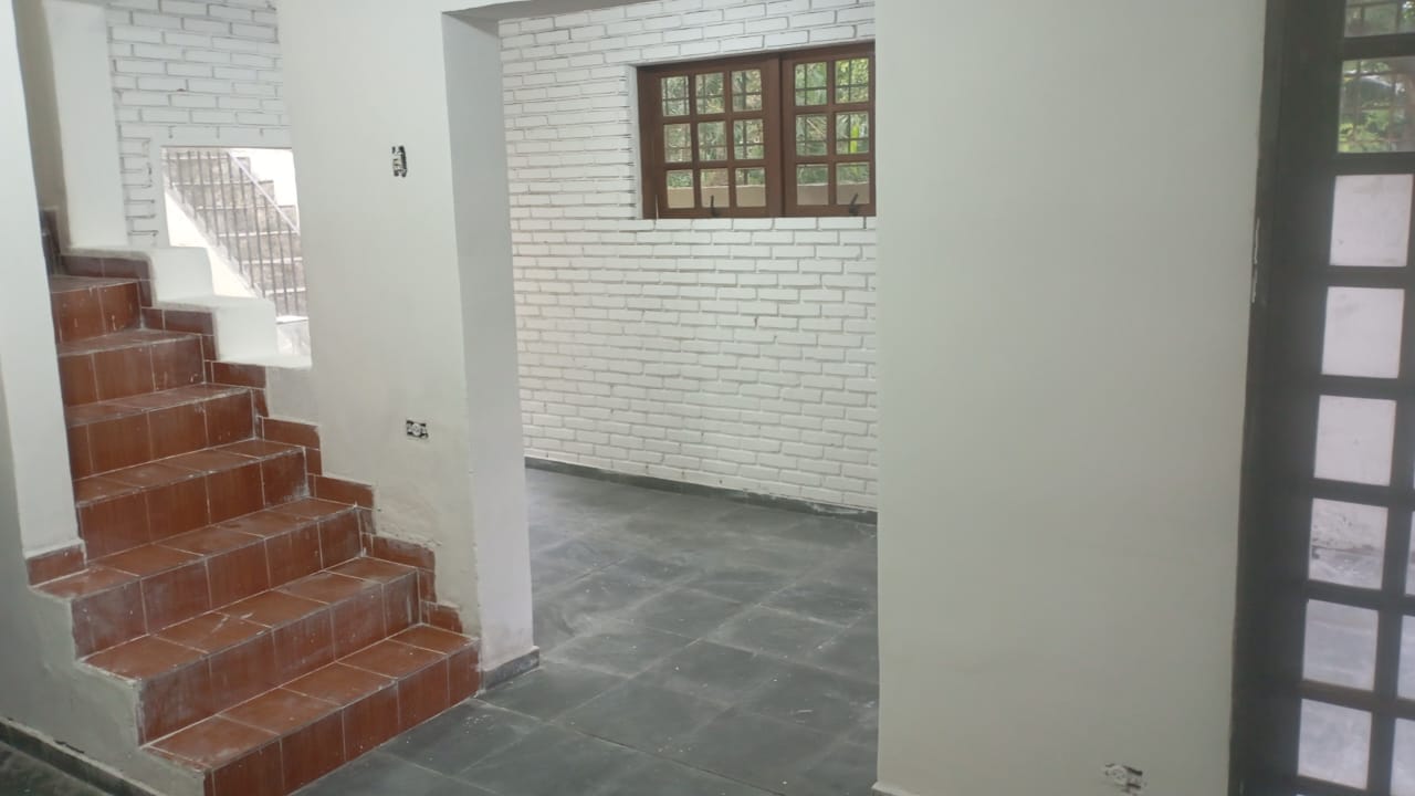 293557